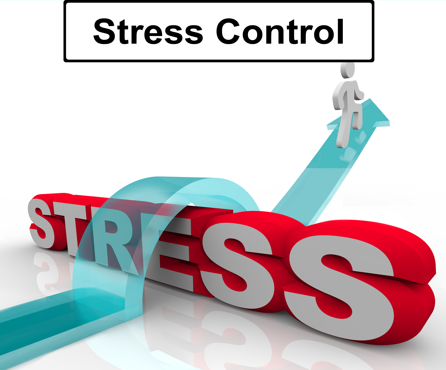 The Source Health and Wellbeing Event